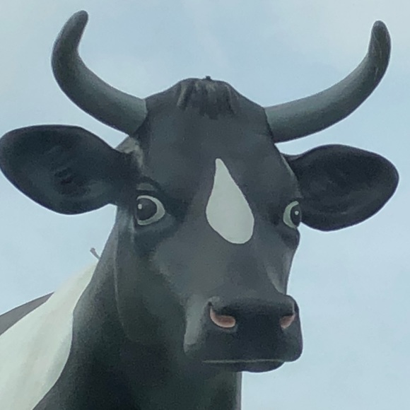 Poshmark profile picture for @explores